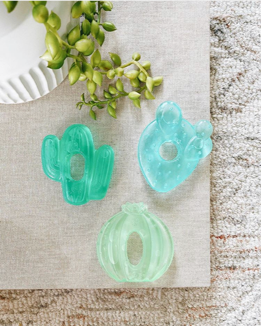 Cactus Cutie Coolers™ Water Filled Teethers